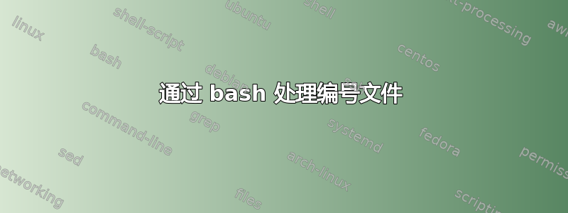 通过 bash 处理编号文件