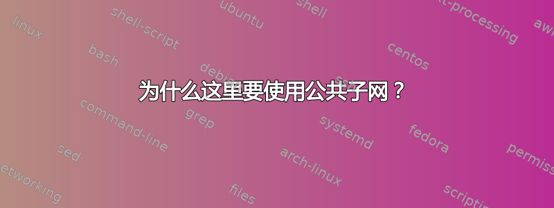 为什么这里要使用公共子网？