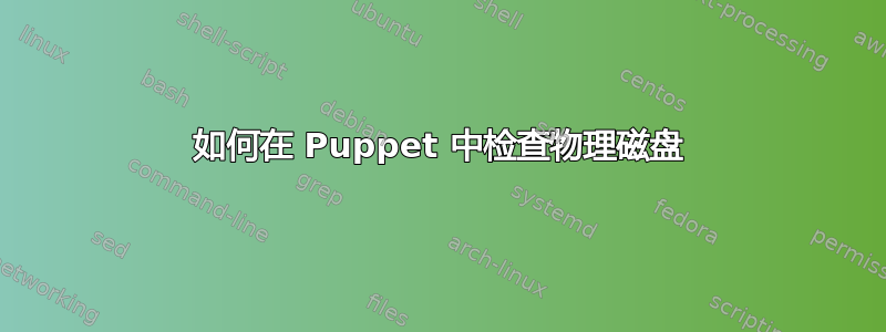 如何在 Puppet 中检查物理磁盘