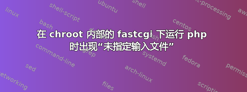 在 chroot 内部的 fastcgi 下运行 php 时出现“未指定输入文件”