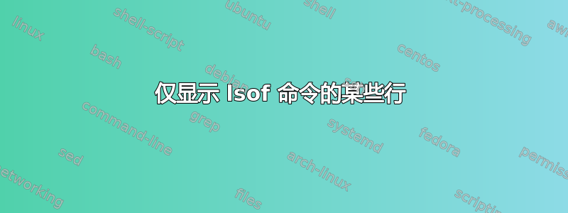 仅显示 lsof 命令的某些行