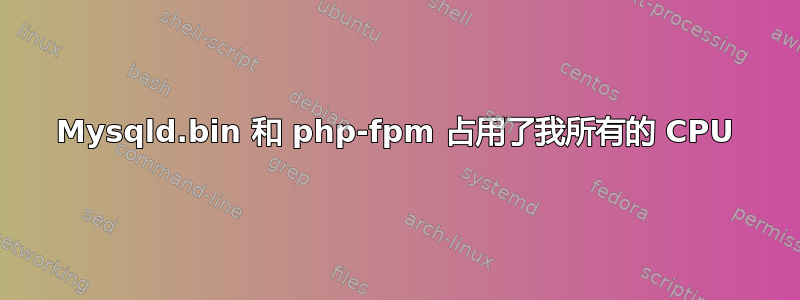 Mysqld.bin 和 php-fpm 占用了我所有的 CPU