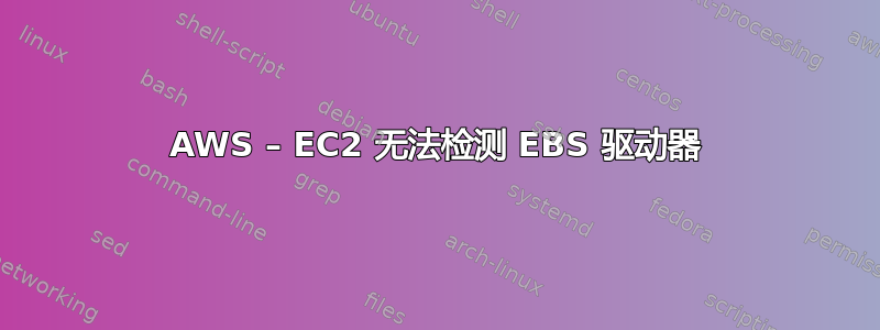 AWS – EC2 无法检测 EBS 驱动器