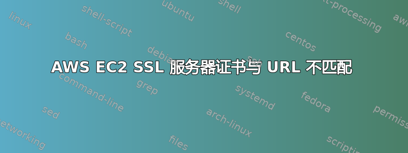 AWS EC2 SSL 服务器证书与 URL 不匹配