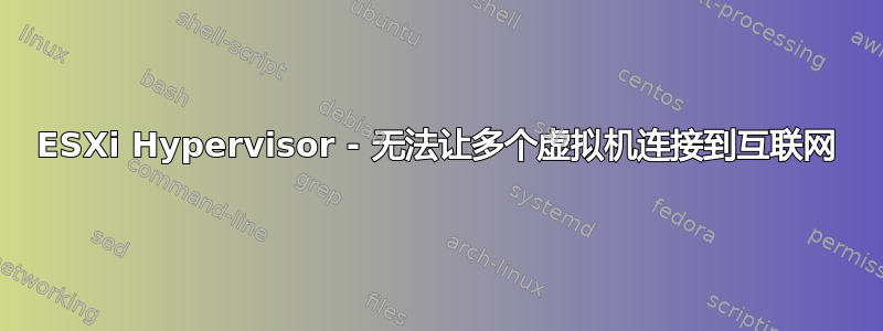 ESXi Hypervisor - 无法让多个虚拟机连接到互联网