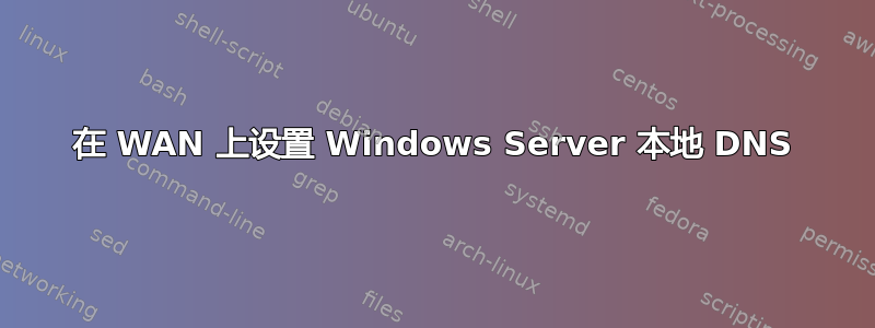 在 WAN 上设置 Windows Server 本地 DNS