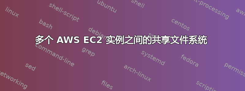 多个 AWS EC2 实例之间的共享文件系统