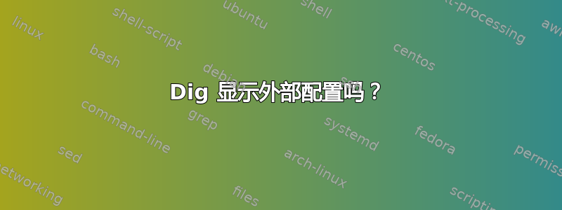 Dig 显示外部配置吗？