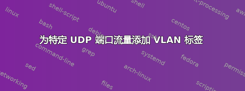 为特定 UDP 端口流量添加 VLAN 标签