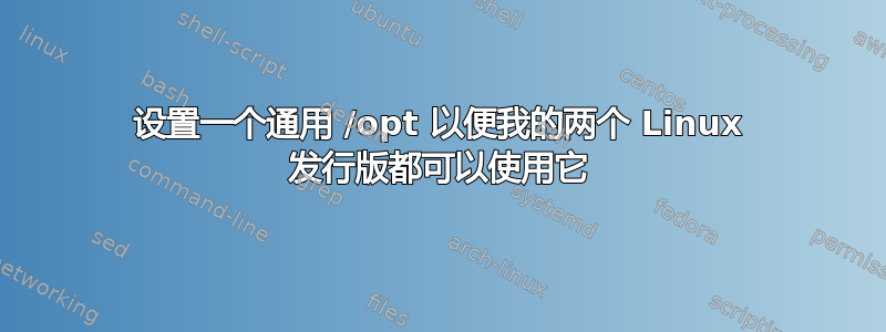 设置一个通用 /opt 以便我的两个 Linux 发行版都可以使用它