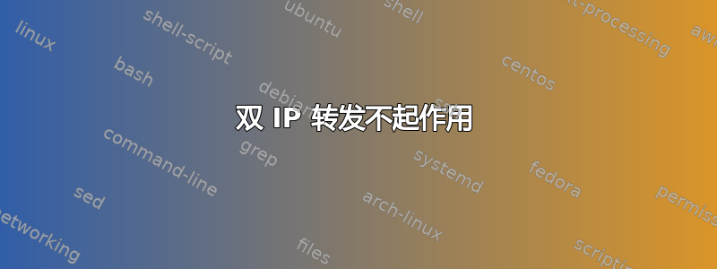 双 IP 转发不起作用