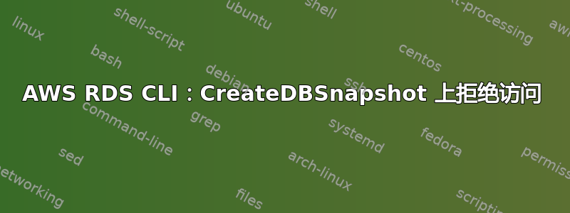 AWS RDS CLI：CreateDBSnapshot 上拒绝访问