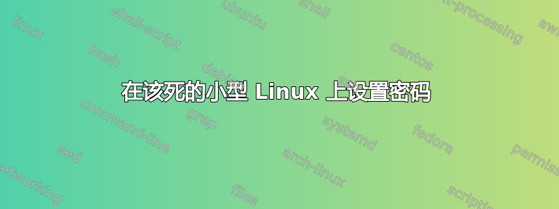 在该死的小型 Linux 上设置密码