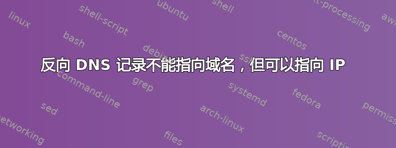 反向 DNS 记录不能指向域名，但可以指向 IP 