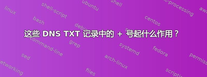 这些 DNS TXT 记录中的 + 号起什么作用？