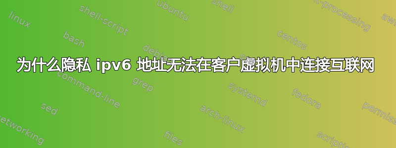 为什么隐私 ipv6 地址无法在客户虚拟机中连接互联网