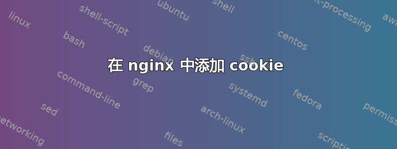 在 nginx 中添加 cookie