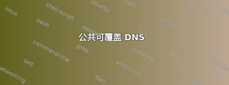 公共可覆盖 DNS 