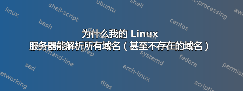 为什么我的 Linux 服务器能解析所有域名（甚至不存在的域名）