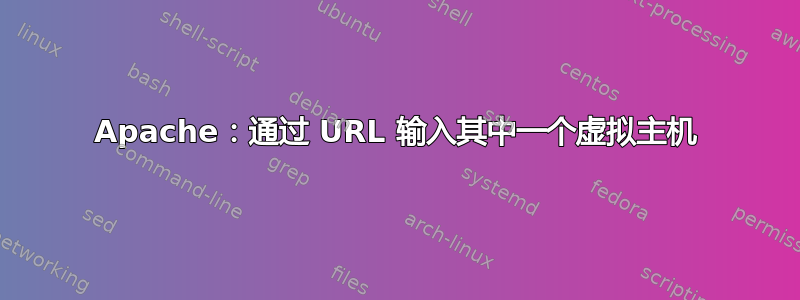 Apache：通过 URL 输入其中一个虚拟主机