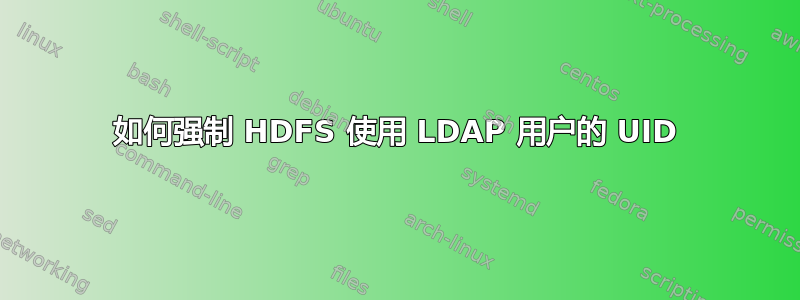 如何强制 HDFS 使用 LDAP 用户的 UID