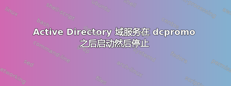 Active Directory 域服务在 dcpromo 之后启动然后停止