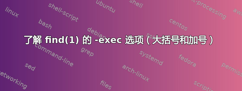 了解 find(1) 的 -exec 选项（大括号和加号）