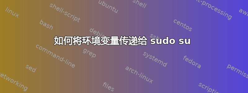 如何将环境变量传递给 sudo su