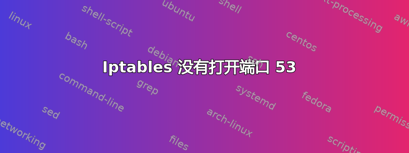 Iptables 没有打开端口 53 