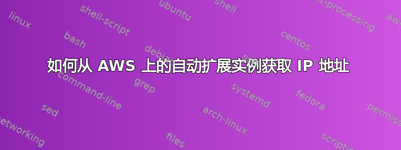 如何从 AWS 上的自动扩展实例获取 IP 地址