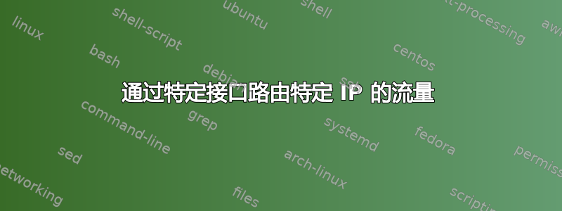 通过特定接口路由特定 IP 的流量