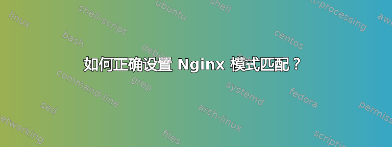 如何正确设置 Nginx 模式匹配？