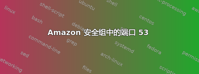 Amazon 安全组中的端口 53