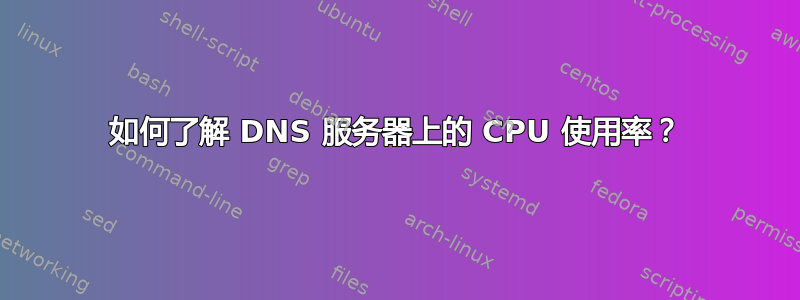 如何了解 DNS 服务器上的 CPU 使用率？