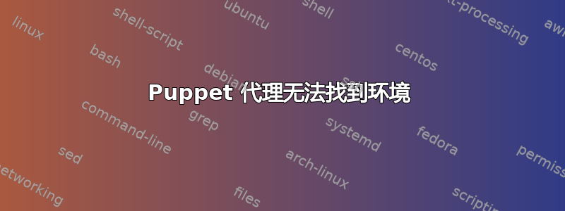 Puppet 代理无法找到环境