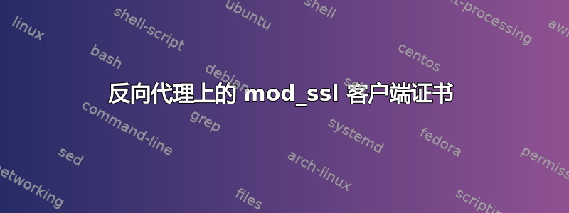 反向代理上的 mod_ssl 客户端证书