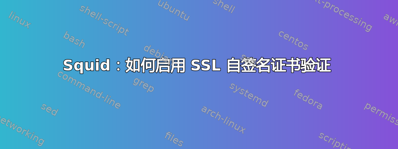 Squid：如何启用 SSL 自签名证书验证