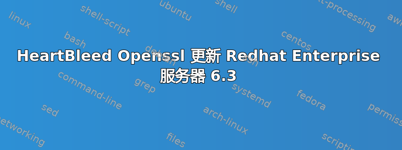 HeartBleed Openssl 更新 Redhat Enterprise 服务器 6.3