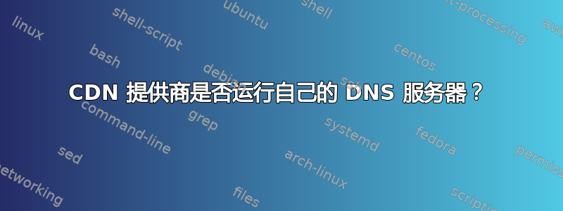 CDN 提供商是否运行自己的 DNS 服务器？