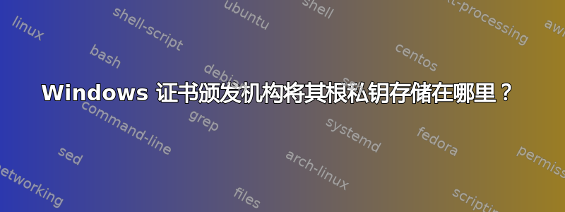 Windows 证书颁发机构将其根私钥存储在哪里？