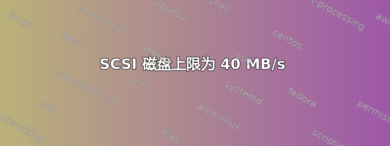 SCSI 磁盘上限为 40 MB/s