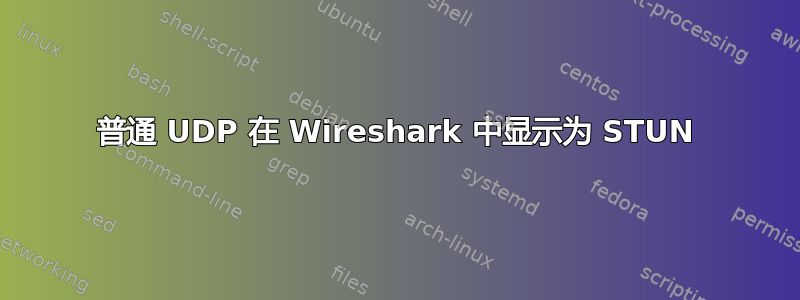 普通 UDP 在 Wireshark 中显示为 STUN