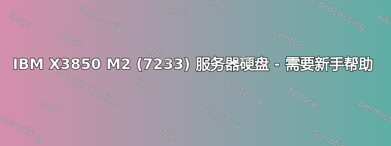 IBM X3850 M2 (7233) 服务器硬盘 - 需要新手帮助