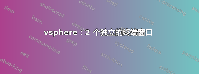 vsphere：2 个独立的终端窗口