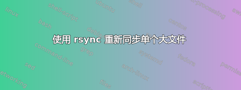 使用 rsync 重新同步单个大文件