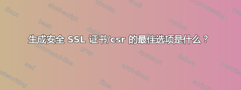 生成安全 SSL 证书/csr 的最佳选项是什么？