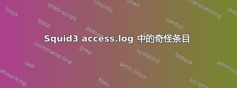 Squid3 access.log 中的奇怪条目