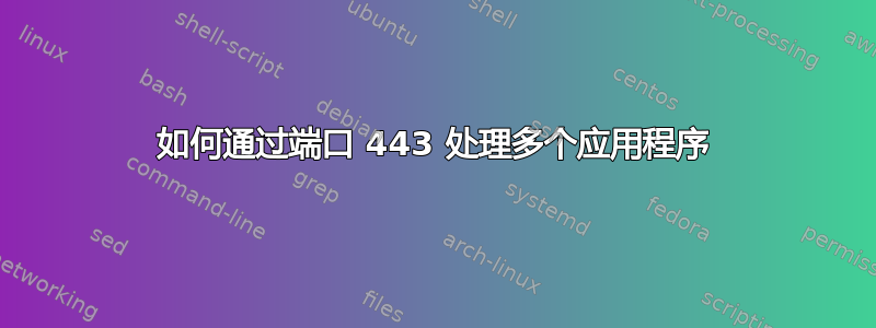 如何通过端口 443 处理多个应用程序