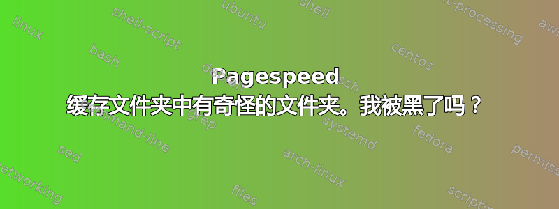 Pagespeed 缓存文件夹中有奇怪的文件夹。我被黑了吗？