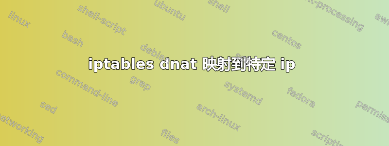 iptables dnat 映射到特定 ip